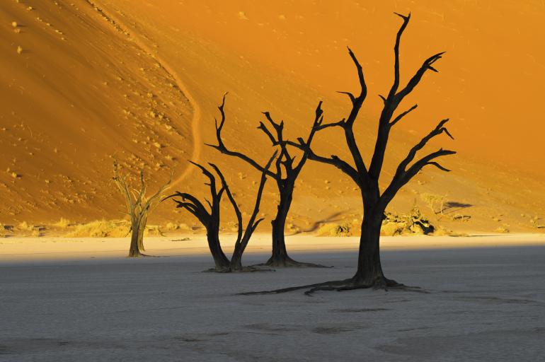 Namibia, Land der Kontraste. Auf der einen Seite locken spektakuläre Sandwüsten, auf der anderen tropischer Urwald.