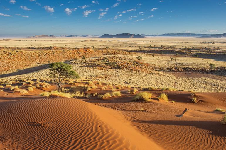 Reiseinfo Namibia ALLGEMEIN: Namibia hat etwas mehr als zwei Millionen Einwohner. Die Hauptstadt Windhoek liegt auf 1.650 Metern Höhe. EINREISE: Deutsche können für kurzfristige Aufenthalte zu touristischen oder geschäftlichen Zwecken ohne Visum einreisen. Es wird ein gebührenfreier Einreisestempel erteilt.