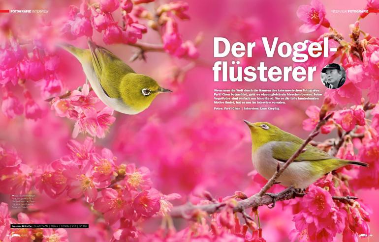  Im Interview: Fu-Yi Chen, der Vogelflüsterer.