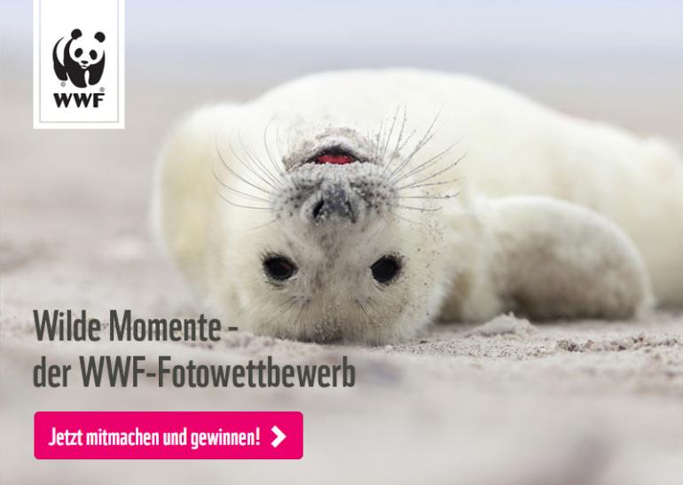 Wilde Momente mit der Teilnahme am WWF Fotowettbewerb. 
