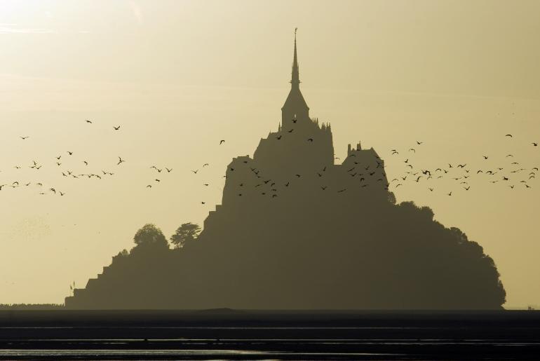 IDEE: Der Mont-Saint-Michel in der Normandie kann bei diesigem Licht in der richtigen Ansicht ein lohnenswertes Motiv abgeben. GESTALTUNG: Tolle grafische Umsetzung, die das Motiv mit Hilfe der Tonwerte auf lediglich zwei Ebenen – den Berg auf die eine, Vögel und Salzwiesen auf die andere – verteilt. TECHNIK: Nur möglich mit langer Brennweite, da nur so die Tiefe reduziert werden kann. Auch der Dunst wird über den großen
Abstand zum Hauptmotiv erst deutlich.