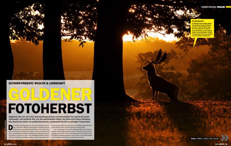 Outdoor-Projekte: Wildlife &amp; Landschaft