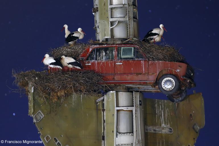 &quot;Kunst am Nest&quot; von dem spanischen Fotografen Francisco Mingorance