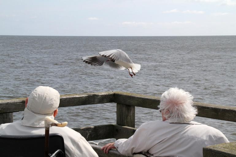 &quot;Begegnung&quot; | 3. Platz &quot;Am Wasser&quot;