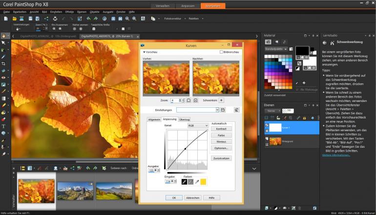 Umfangreich: Paint Shop Pro X8 setzt auf den fortgeschrittenen Anwender.