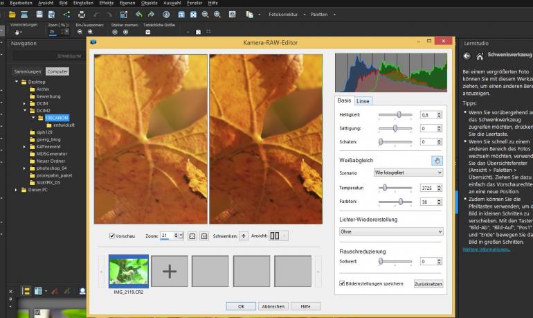 Etwas eingeschränkt - die Möglichkeiten zur Farbjustierung im RAW-Konverter.