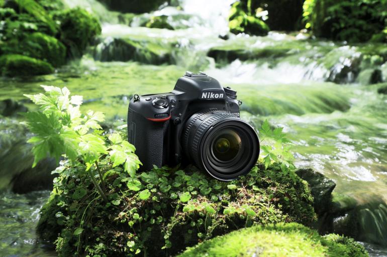Durch die sinkenden Preise für Kameras und Objektive wird das Vollformat-System jetzt auch für Hobbyfotografen interessant, die bislang mit Crop-Kameras fotografiert haben.
