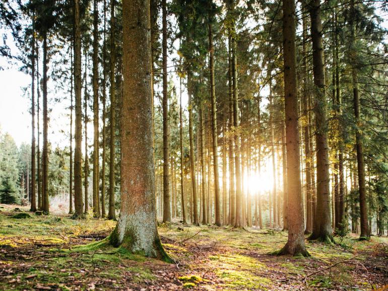 Im Foto sind keine störenden Lensflares zu erkennen. Super!
Sigma 20mm F1.4 DG HSM Art
Canon 5D Mark III | 20mm | 1/160 s | F/1,4 | ISO 400