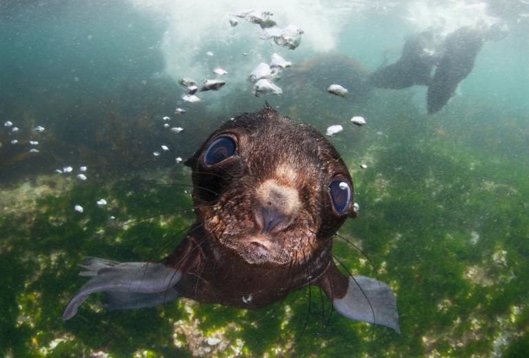 Sony World Photography Awards: Die besten Fotos der Shortlist