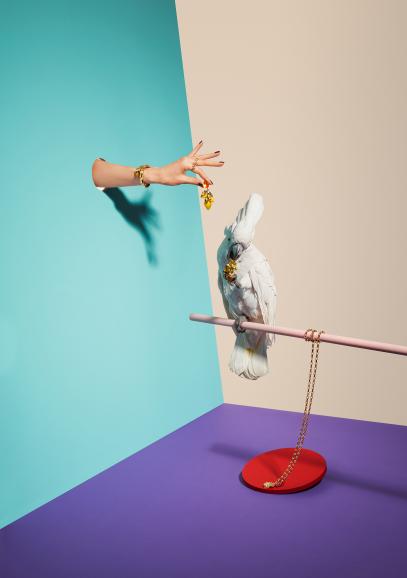 Sony World Photography Awards: Die besten Fotos der Shortlist