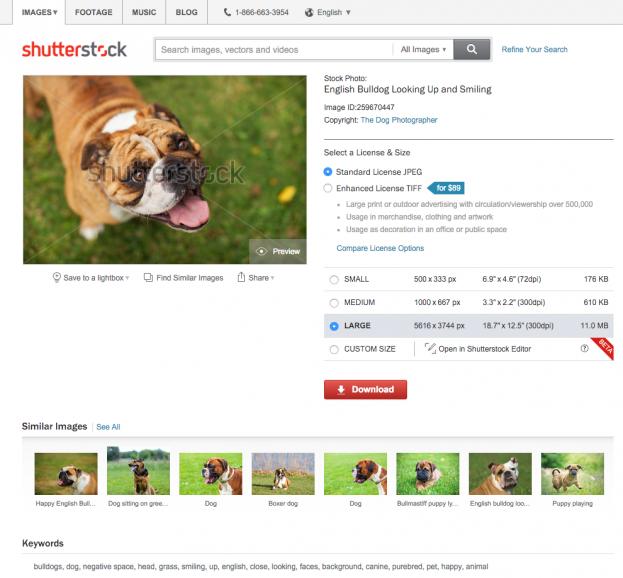 Die neue Bildersuche bei Shutterstock analysiert Bilddaten anstatt von eingegebenen Schlagworten.