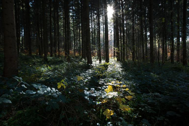 Dieses Foto fungiert in unserem Workshop als erstes Ausgangsbild. Aufgenommen wurde es mit der Canon EOS 5D Mark III, 19mm, bei einer Belichtungszeit von 0,8s, Blende F/11 und ISO 50.