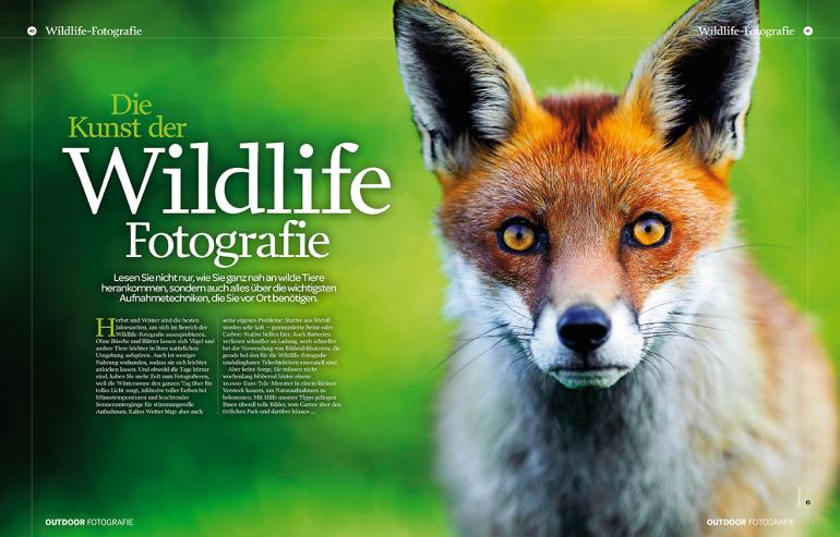 Die Kunst der Wildlife Fotografie