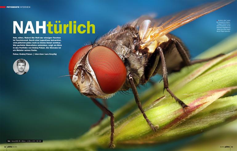 NAHtürlich: Makro-Fotograf Ondrej Pakan verrät seine Tricks. 