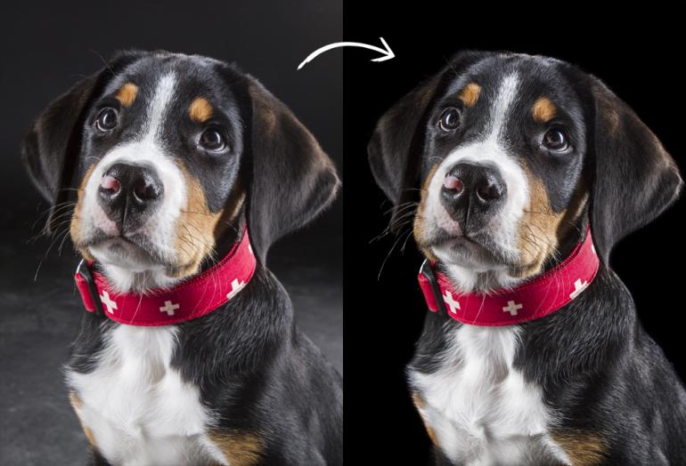 Photoshop So Einfach Ist Das Nachscharfen