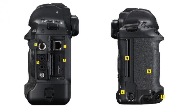 Canon EOS-1D X Mark II: Ist sie besser als die Nikon D5?