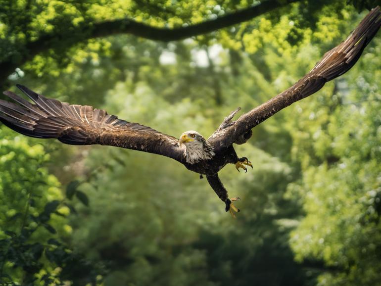 Wildlife-Workshop: So gelingen perfekte Zoo-Fotos