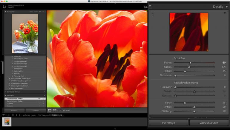 Lightroom Bilder Scharfen Leichtgemacht