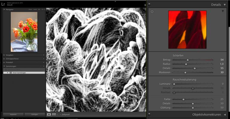 Lightroom Bilder Scharfen Leichtgemacht