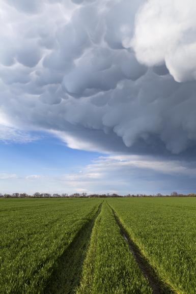 Diese Naturspektakel müssen Fotografen gesehen haben