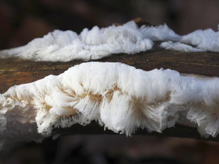 Diese Naturspektakel müssen Fotografen gesehen haben