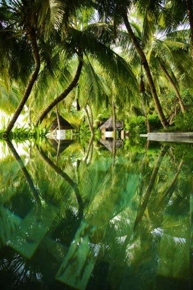 Einmal Paradies gefällig? Reethi Island bietet 6 km weißen Sandstrand und blaue Lagunen. Im Resort der Insel kann man in spektakulären
Poollandschaften wie dieser verweilen.