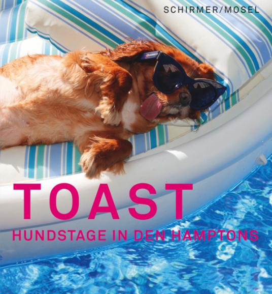 Hängende Zunge als Markenzeichen: Ein Hund namens Toast. 