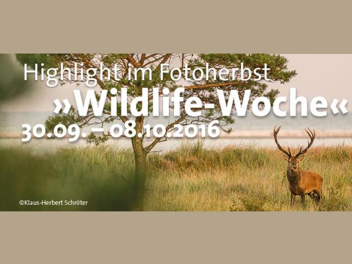 Event-Tipp: Wildlife-Woche im September