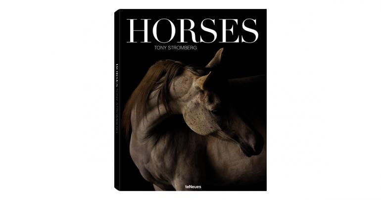 Anmutige Schönheiten im Bildband "Horses" 