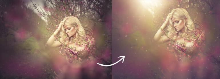 Vor und nach der Bildbearbeitung in Camera Raw und Photoshop.
