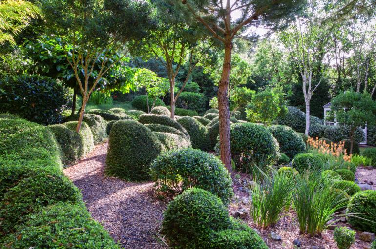 Diese perfekt geschnittenen Sträucher hat Richard Bloom in einem privaten Garten im englischen Suffolk fotografiert. 