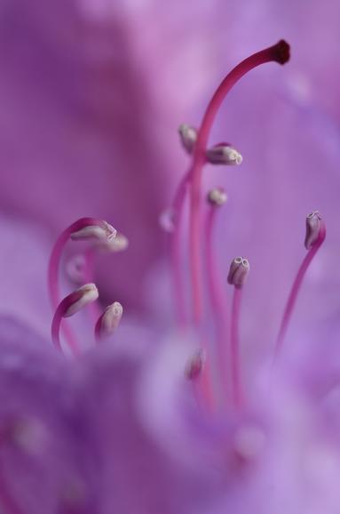 Technische Daten: 105mm, ISO 100, 1/500s, F/6.7
