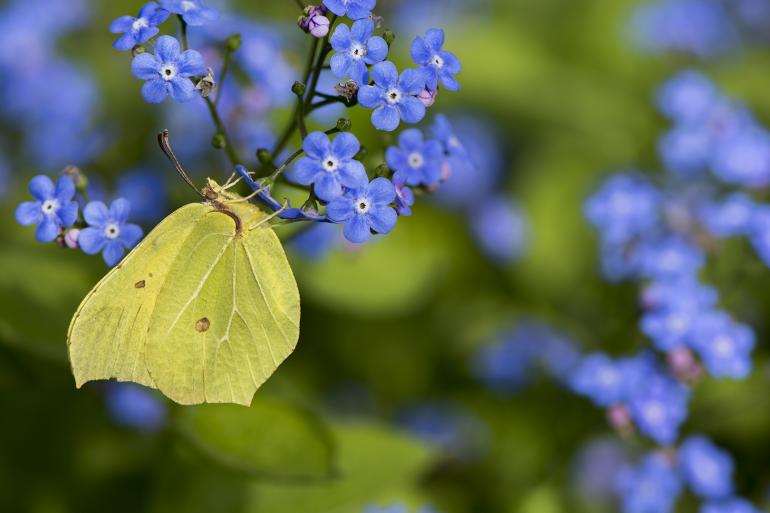 Technische Daten: Nikon, 105mm, ISO 180, 1/400s, F/5.6