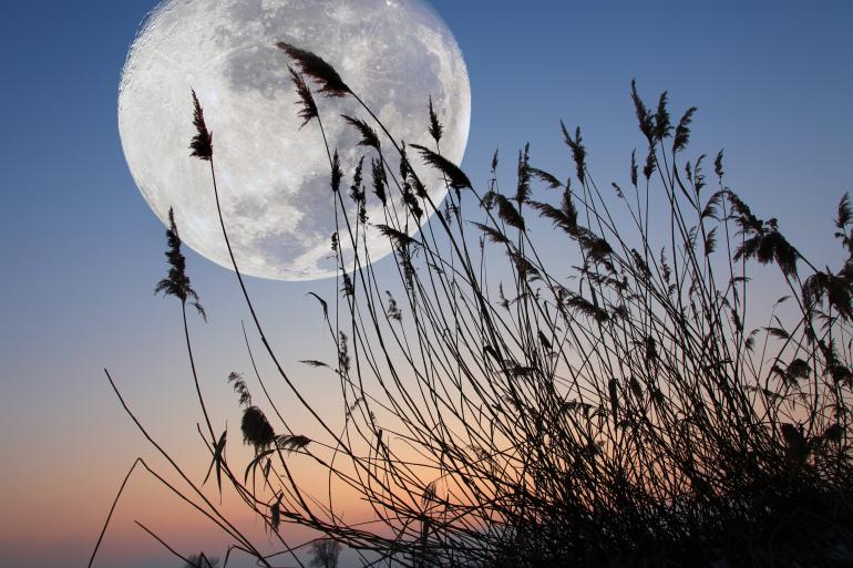 Supermond: So gelingen Ihnen tolle Nachtaufnahmen