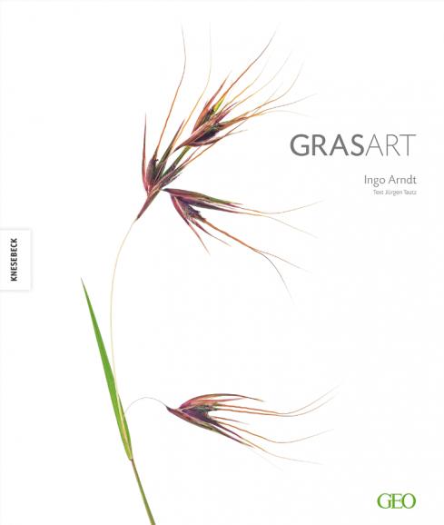 GrasArt: Naturfotos von Ingo Arndt