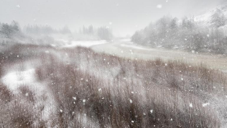 GDT Europäischer Naturfotograf des Jahres