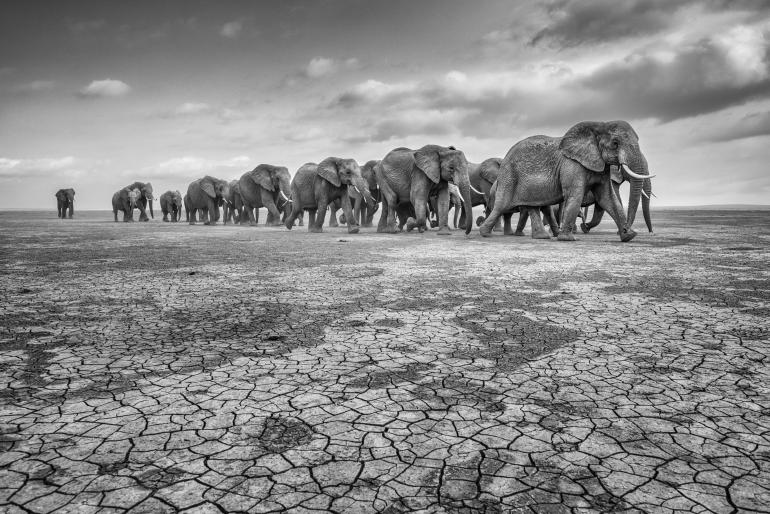 GDT Europäischer Naturfotograf des Jahres