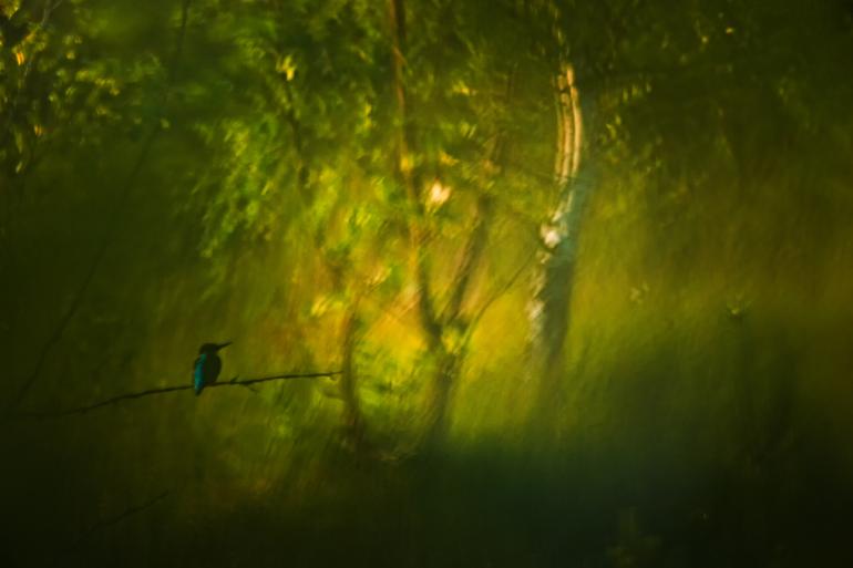 GDT Europäischer Naturfotograf des Jahres