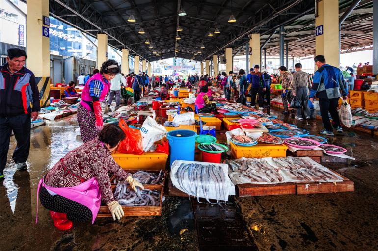 Auf dem Jagalchi Market, Busans riesigem Fischmarkt, gibt es Unmengen
frischer Meerestiere zu kaufen. 