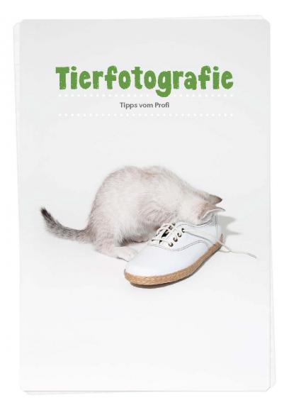 Praxistipps für Haustierfotografie mit Gratis E-Book