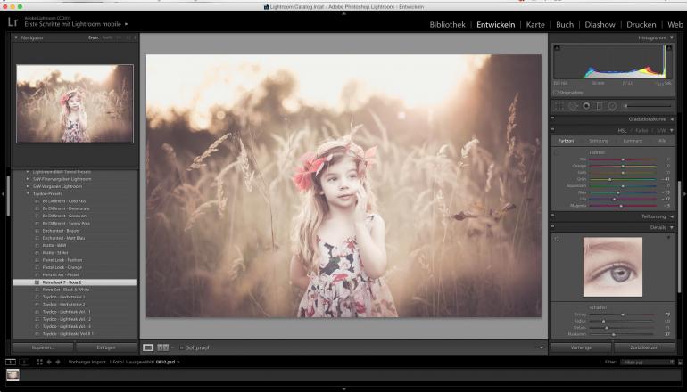 Lightroom Presets Perfekter Look Mit Farbvorgaben