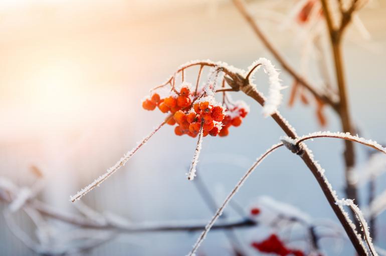 So können Sie winterliche Naturmotive einfangen