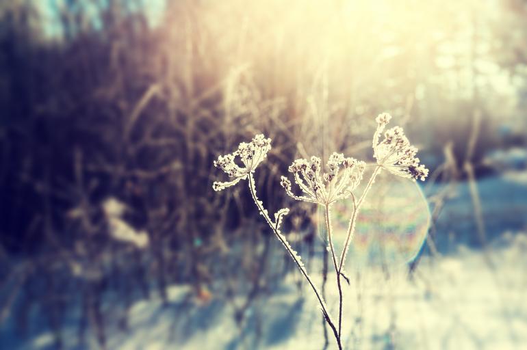 So können Sie winterliche Naturmotive einfangen