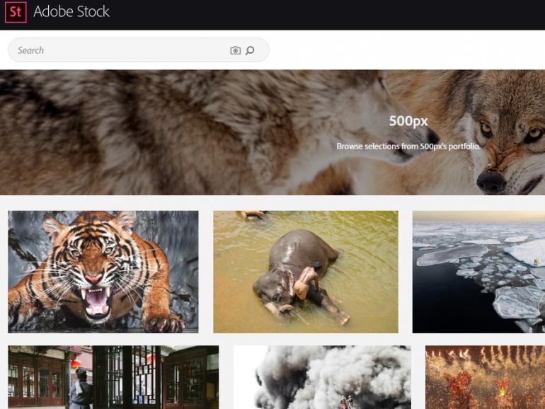 Adobe und 500px kooperieren 
