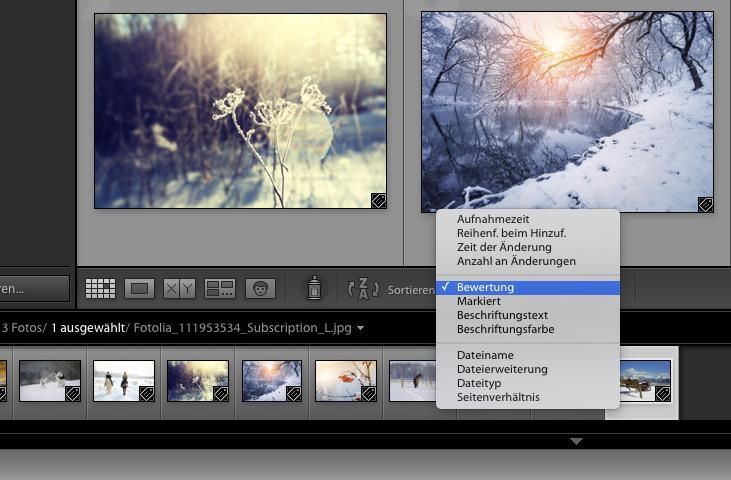 So Verwalten Sie Ganz Einfach Ihre Bilder Mit Lightroom