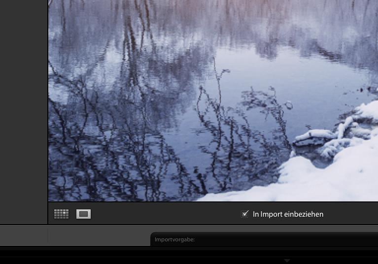 So Verwalten Sie Ganz Einfach Ihre Bilder Mit Lightroom