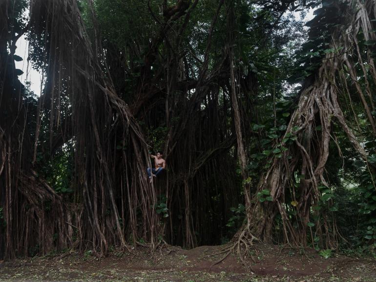 Reif für die Insel: Der #alphaddicted Koffer reist nach Hawaii