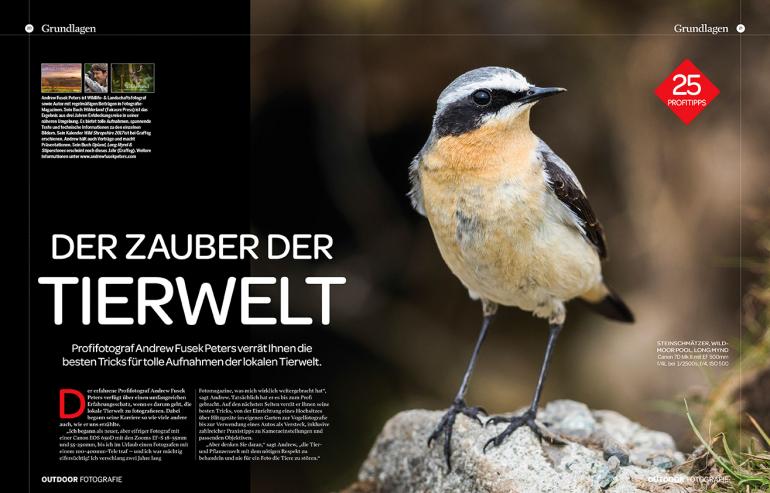 Den Zauber der Tierwelt festhalten