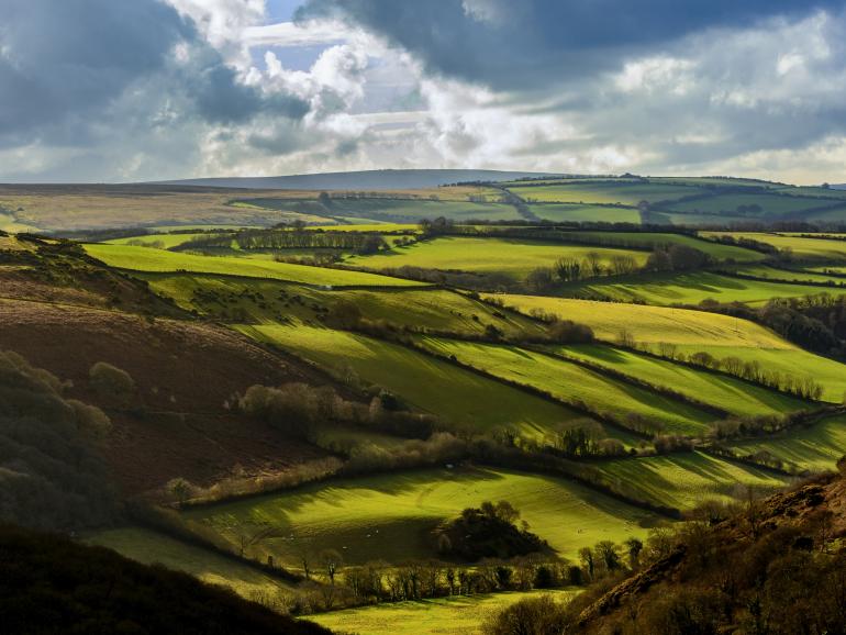 #alphaddicted reist zu den wilden Exmoor-Ponys im Süden Englands