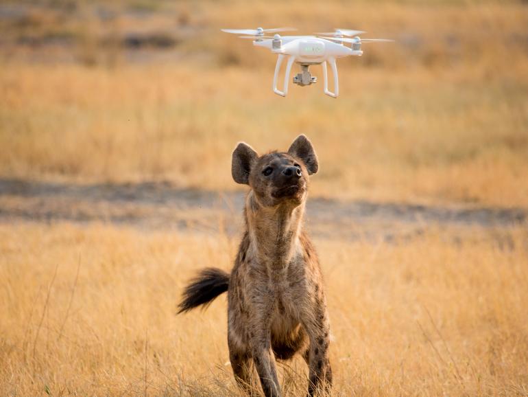 Drohnenfotos aus Afrika